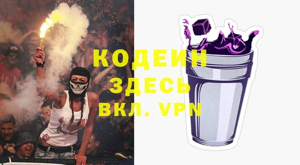 крисы Кодинск
