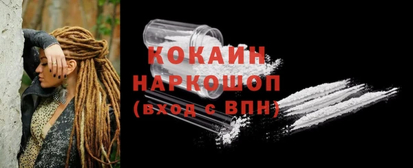 хмурый Козловка