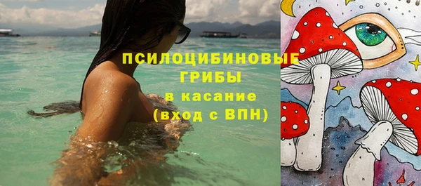 крисы Кодинск