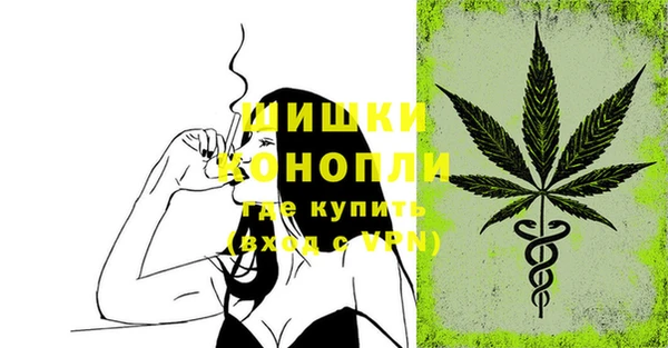 spice Киренск