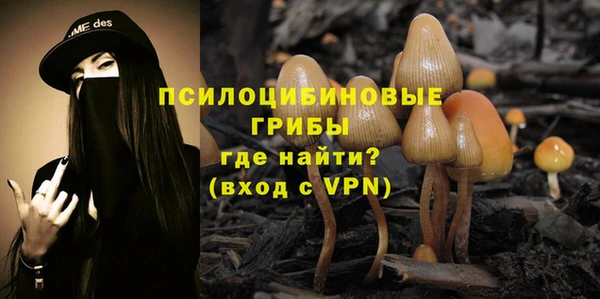 крисы Кодинск