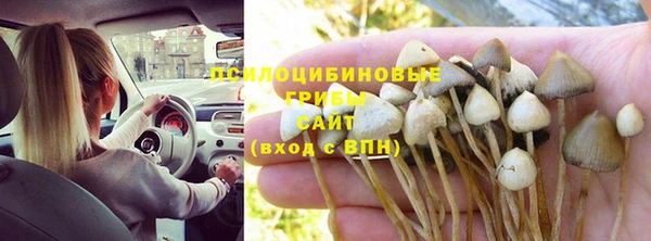 крисы Кодинск