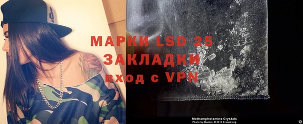 хмурый Козловка