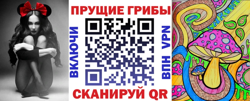 Галлюциногенные грибы Cubensis  Нестеровская 